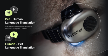 PettiChat Smart Pet Camera