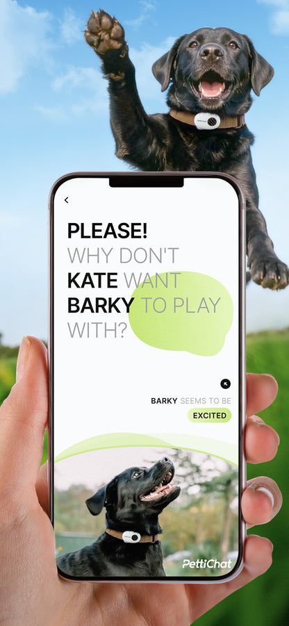 PettiChat Smart Pet Camera