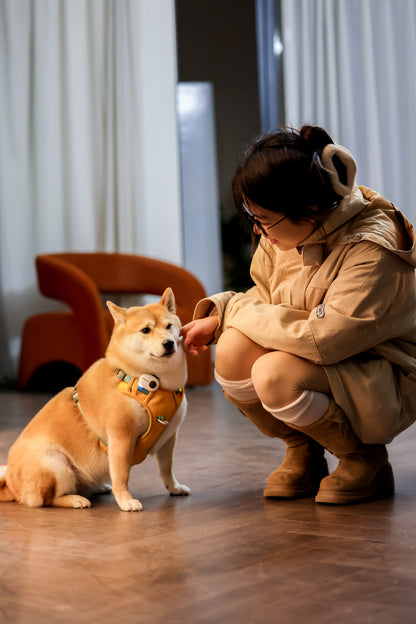 PettiChat Smart Pet Camera