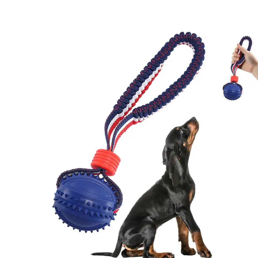 Lumii Interactive Rope & Chew Ball