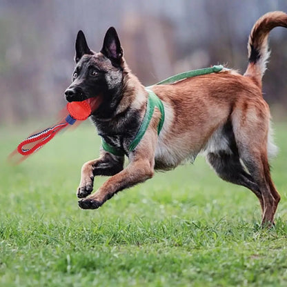 Lumii Interactive Rope & Chew Ball